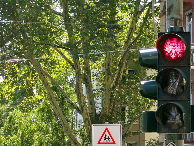 ampel-in-frankfurt-rot-phase-eintracht-frankfurt-copyright-beachten