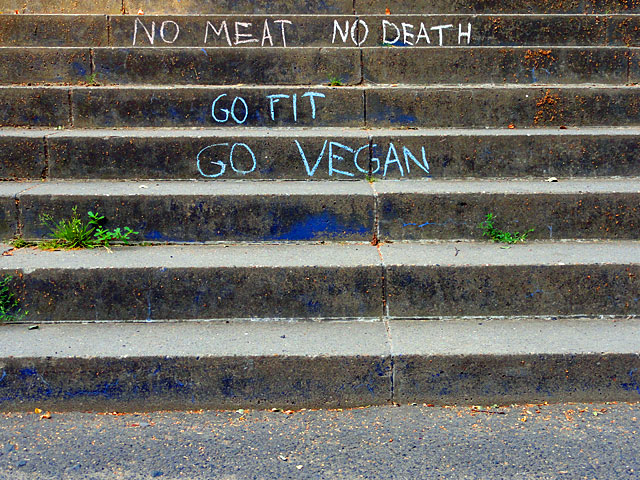 vegan-treppe-frankfurt-3