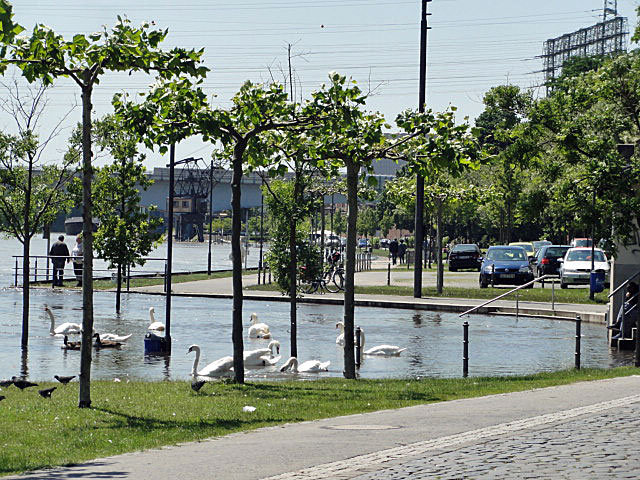 Hochwasserlage am Mainufer in Frankfurt-Höchst
