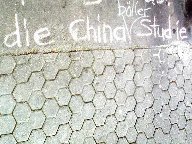 die-china-studie-die-chinaböllerstudie