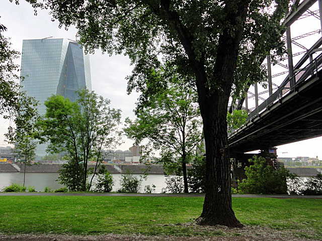 EZB-NEUBAU-UND-DEUTSCHHERRNBRUECKE-IN-FRANKFURT