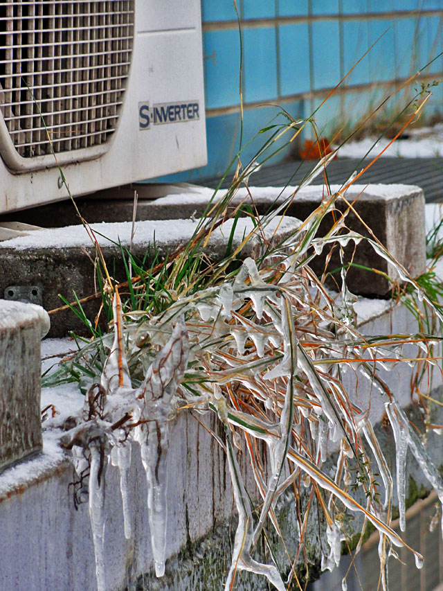 Frankfurt, Ost mit Frost