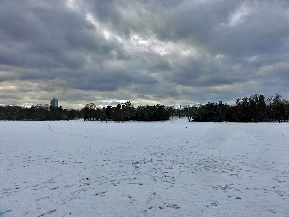 Schnee in Frankfurt 2016 - Ostpark