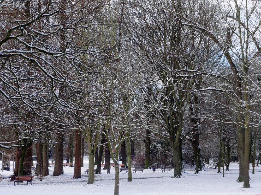 Schnee in Frankfurt 2016 - Ostpark