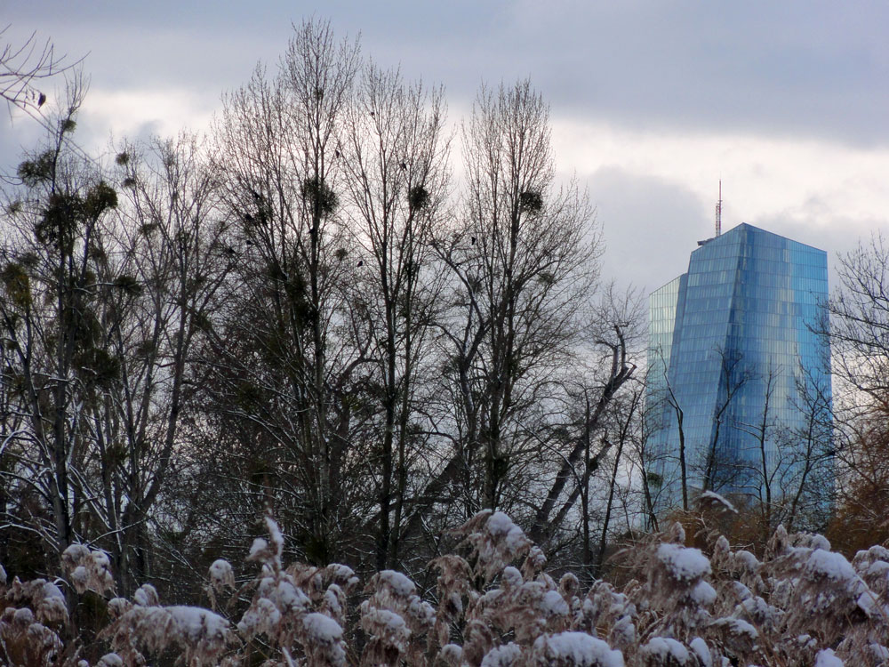 Schnee in Frankfurt 2016 - Ostpark