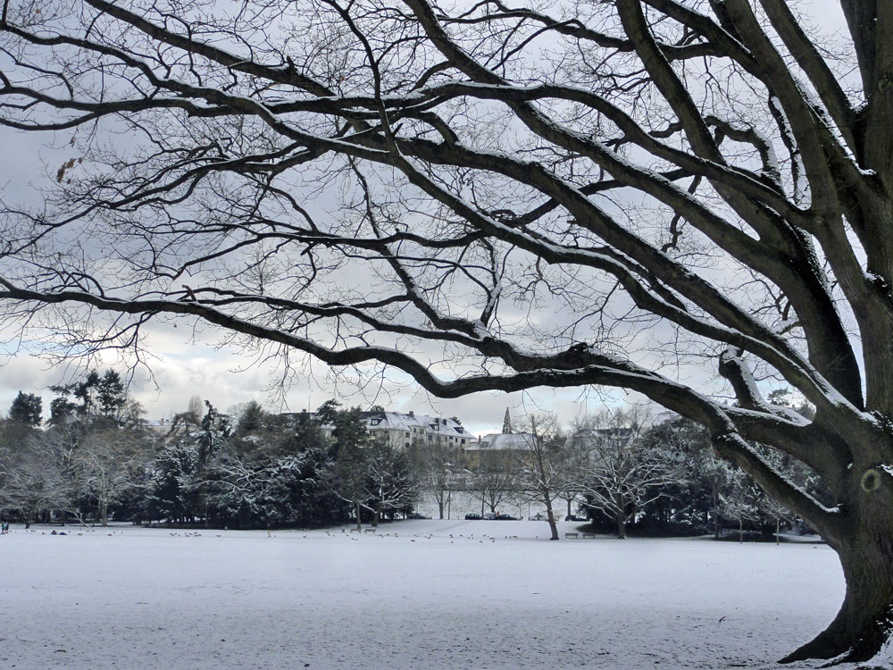 Schnee in Frankfurt 2016 - Ostpark