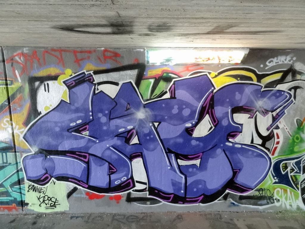 rase-graffiti-hall-of-fame-am-ratswegkreisel