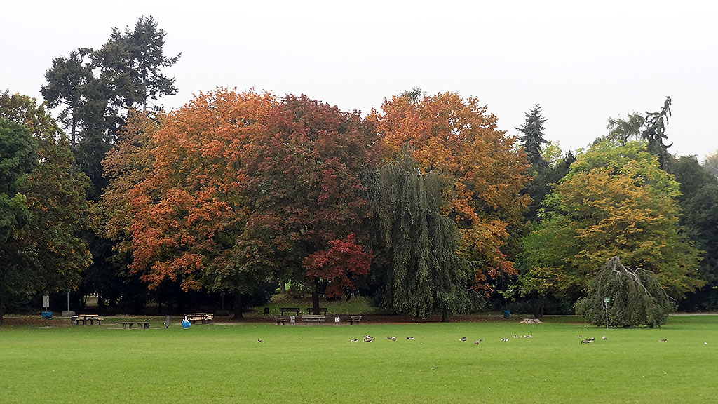 frankfurt-ostpark-herbst-fotos-01