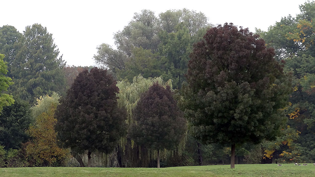 frankfurt-ostpark-herbst-fotos-02