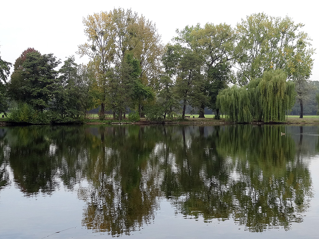 frankfurt-ostpark-herbst-fotos-03