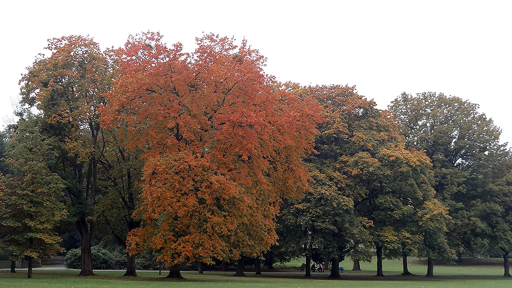 frankfurt-ostpark-herbst-fotos-05