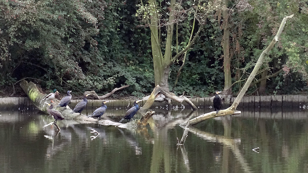 frankfurt-ostpark-herbst-fotos-06