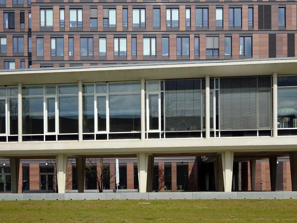 Finance School of Finance & Management