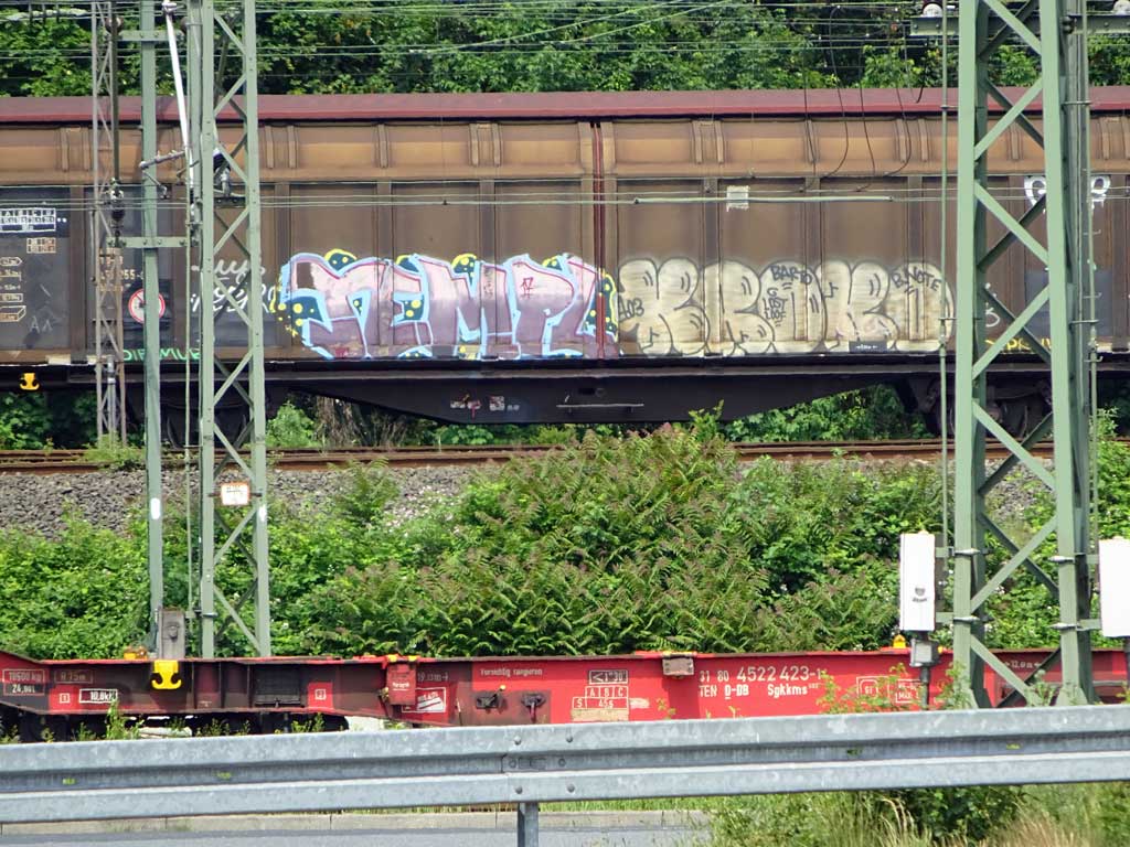 Güterzug mit Graffiti