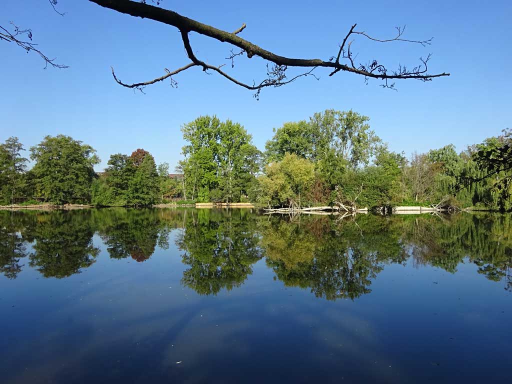 Der Ostparkweiher in Frankfurt