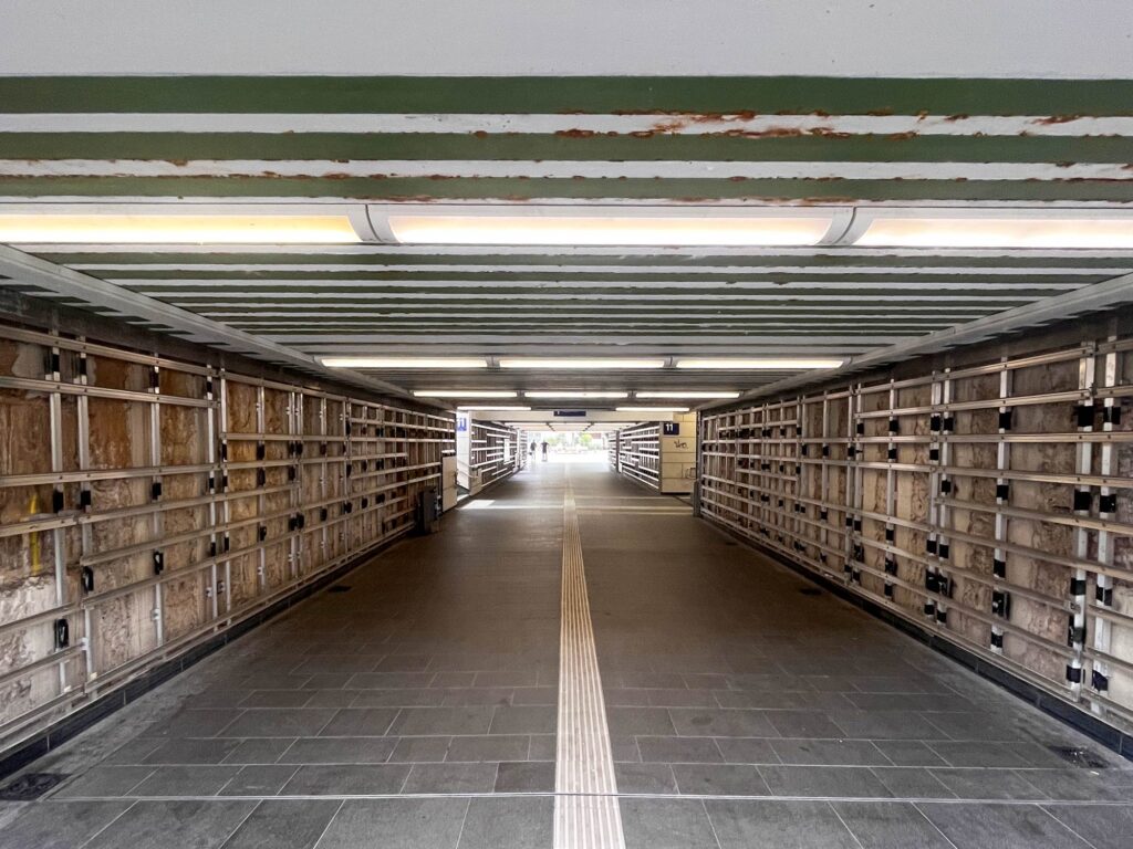 Bahnhof Höchst im Umbau