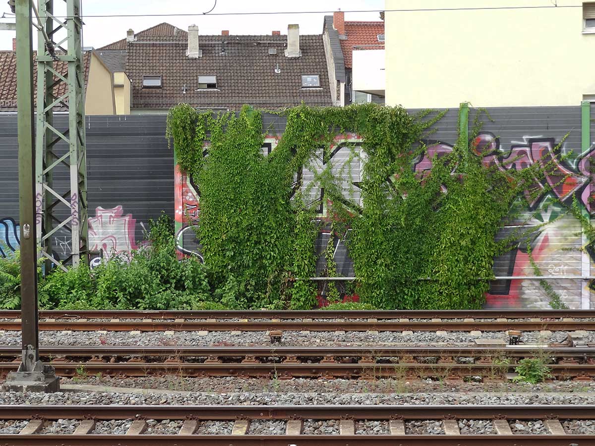 Begrünte Lärmschutzwand an der S-Bahn-Station Galluswarte in Frankfurt