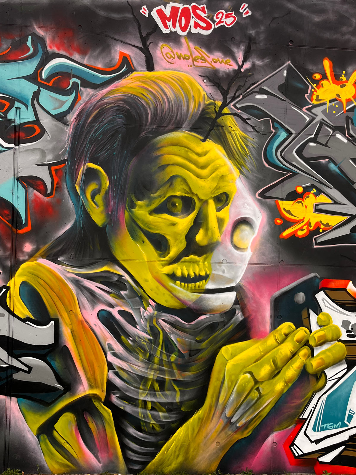 Bilder vom Meeting of Styles 2025 am Kransand in Wiesbaden (Mainz-Kastel)