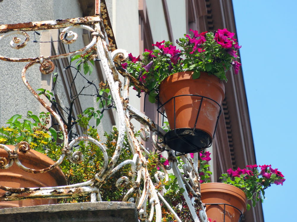 Blumentöpfe auf Balkonen im Nordend Frankfurts