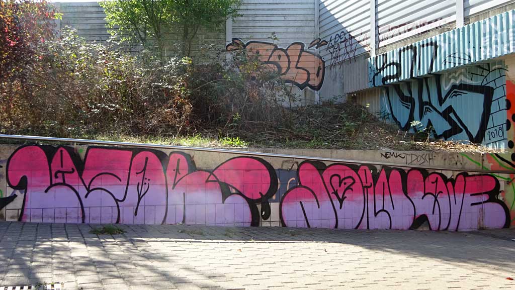 Graffiti an der Blütentunnel-Wall in Darmstadt-Arheilgen