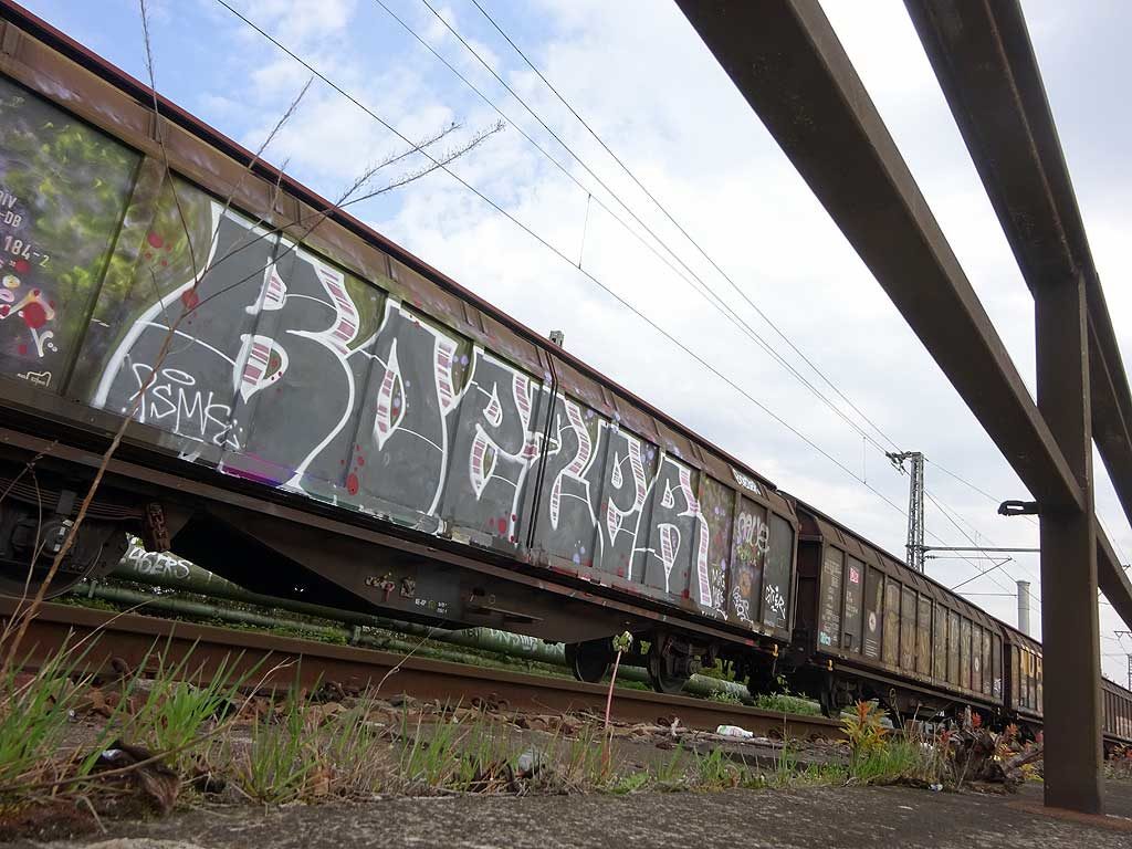 Freight-Trains-Graffiti