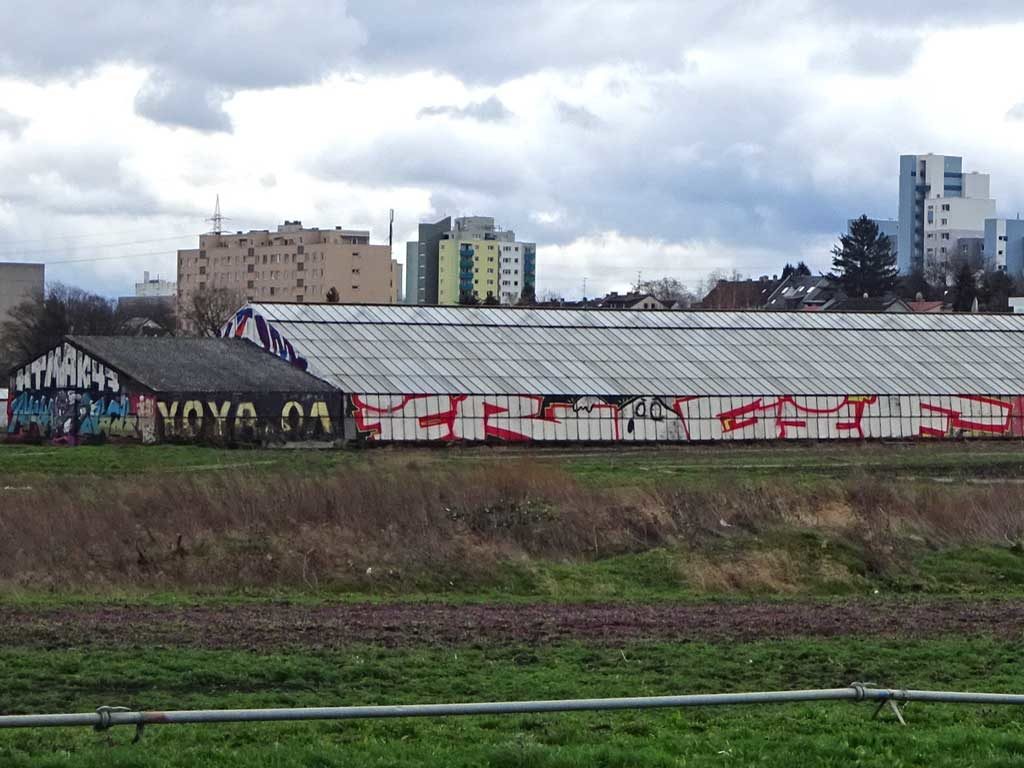 Gewächshäuser in Frankfurt am Main