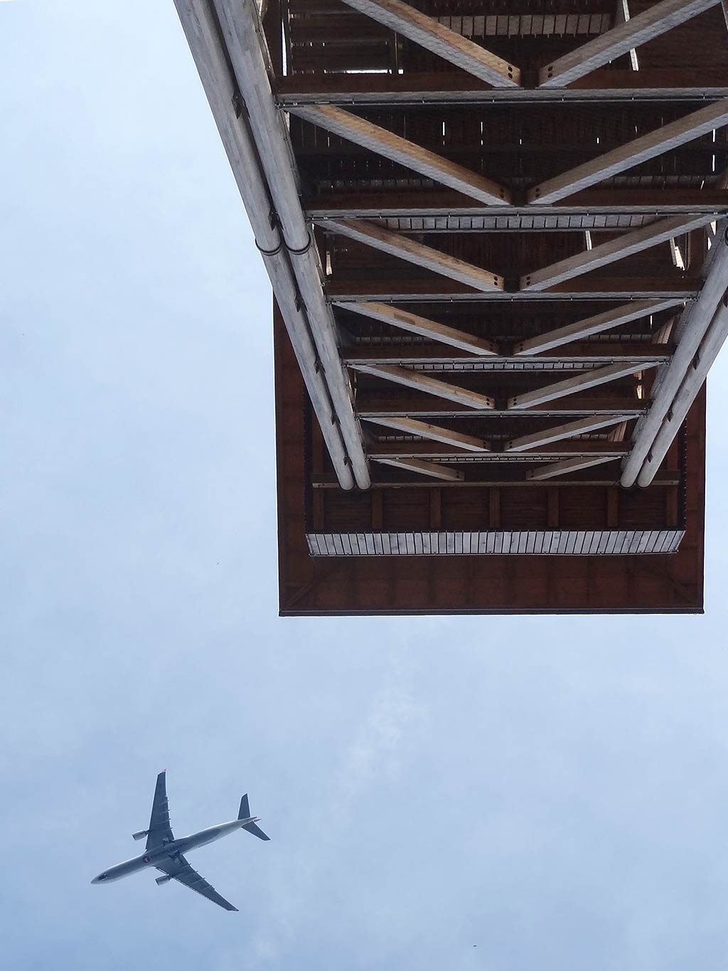 Goetheturm mit Flugzeug am Himmel
