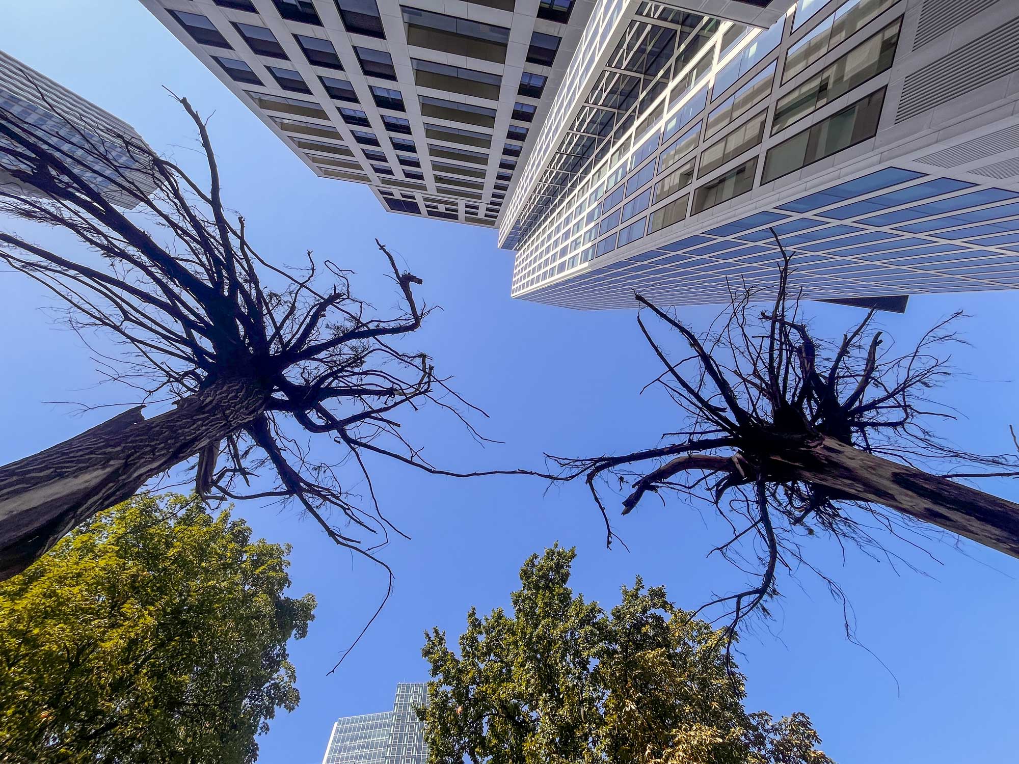 Gustav Metzger - „Strampelnde Bäume“ vor dem MMK Tower in Frankfurt