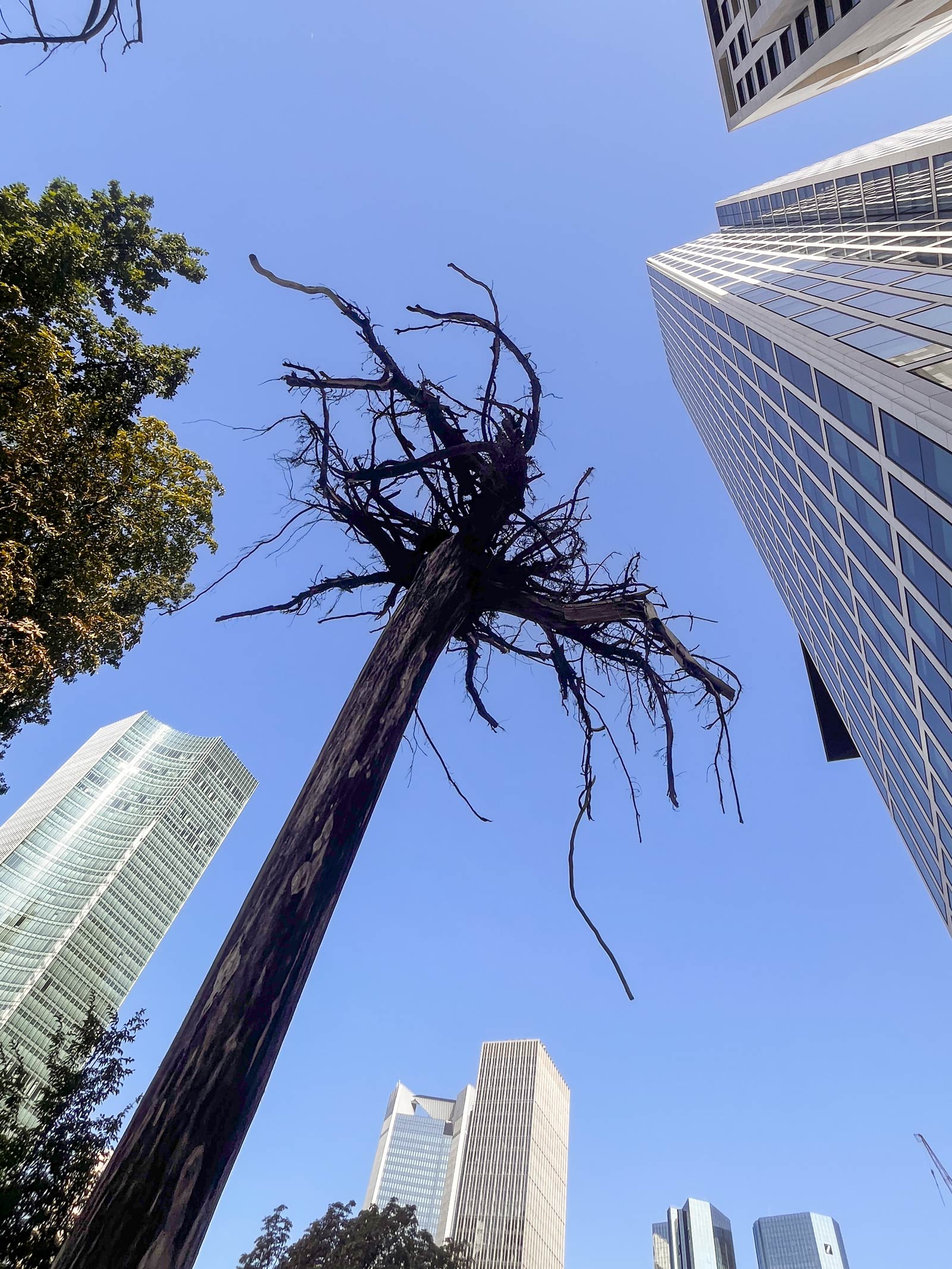Gustav Metzger - „Strampelnde Bäume“ vor dem MMK Tower in Frankfurt