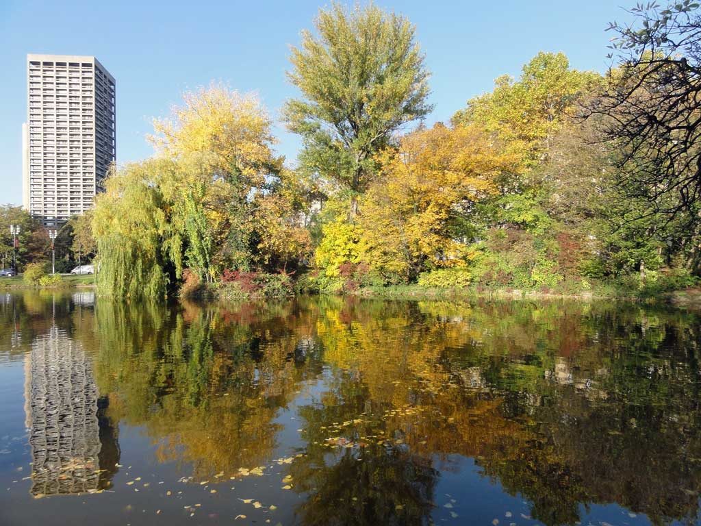 Herbst an der Ludwig Erhard Anlage in Frankfurt