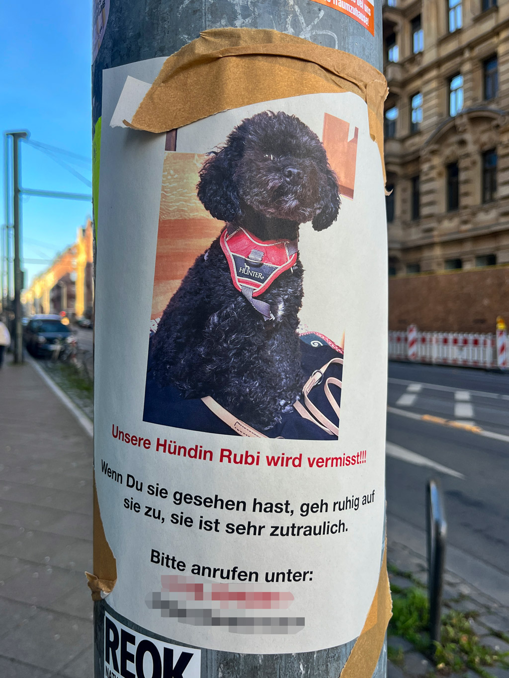 „Hündin wird vermisst“-Zettel in Frankfurt