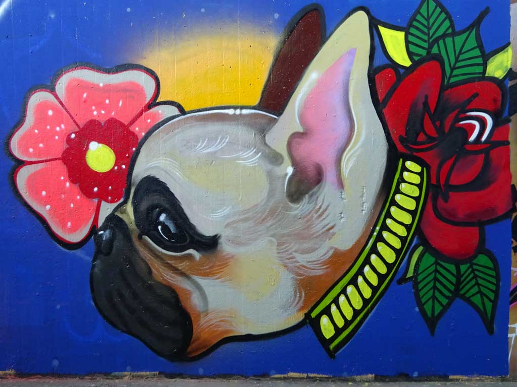 Graffiti eines Mops'