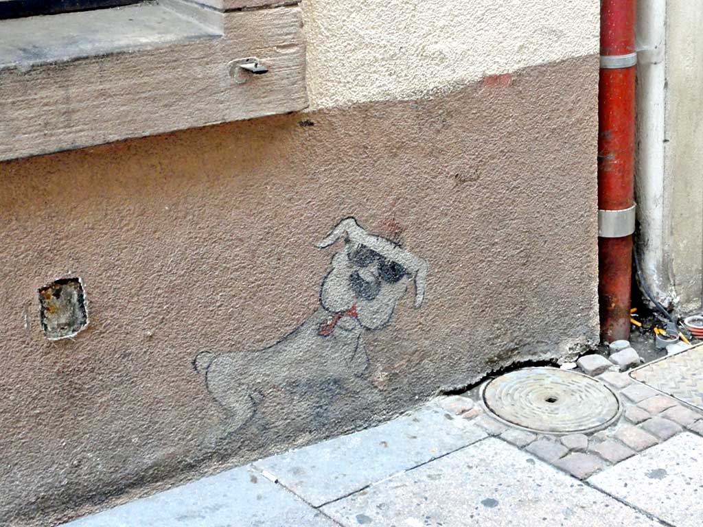 Wandbild eines Hundes mit Sonnenbrille