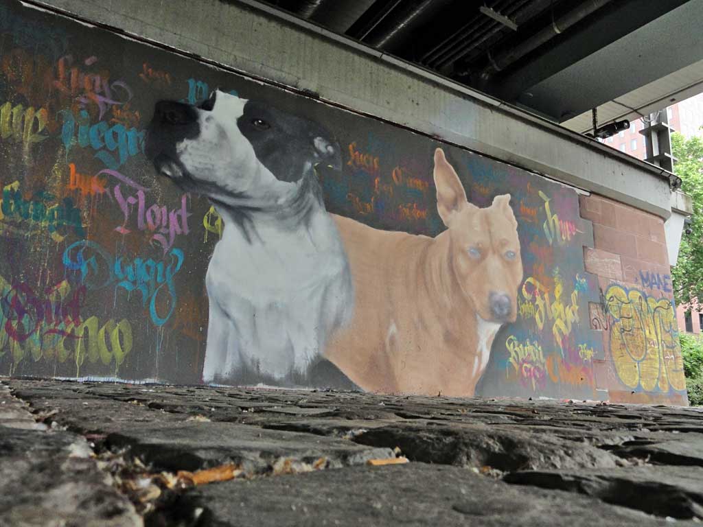Graffiti von zwei Hunden