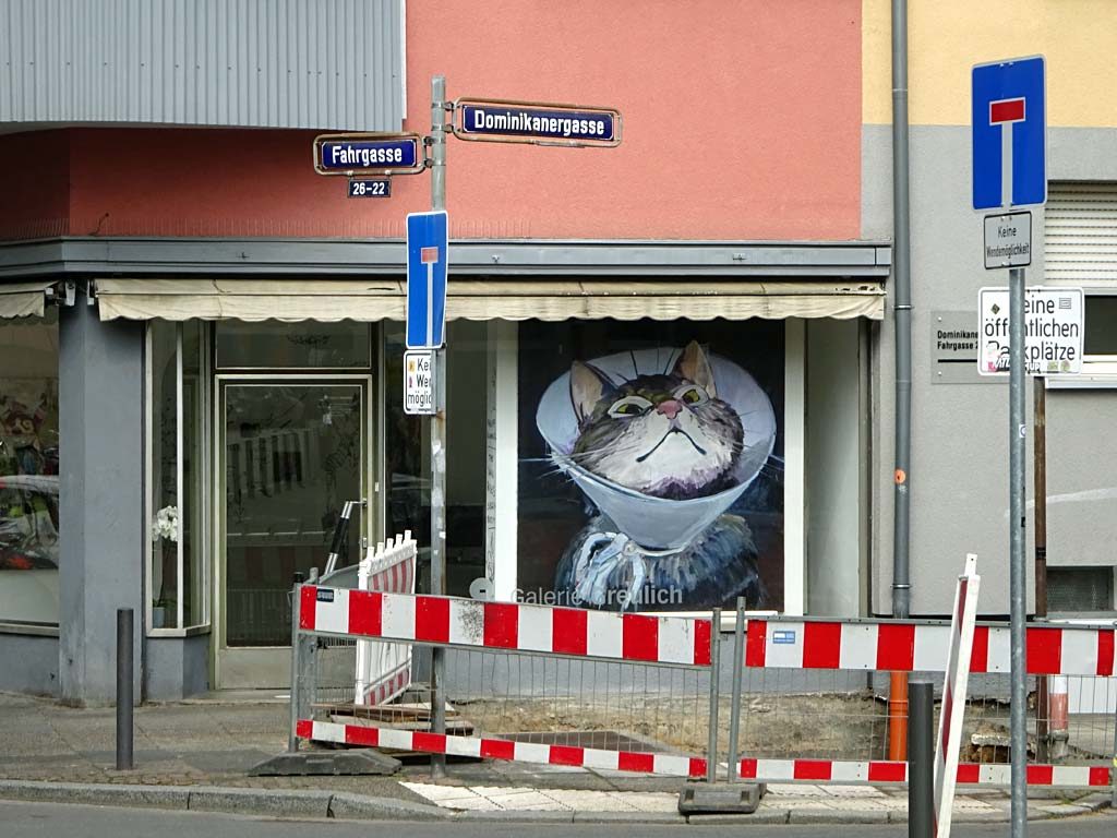 Katzenbild im Schaufenster der Galerie Greulich