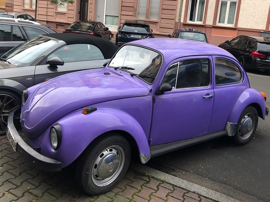 Lila farbener Käfer (Auto)