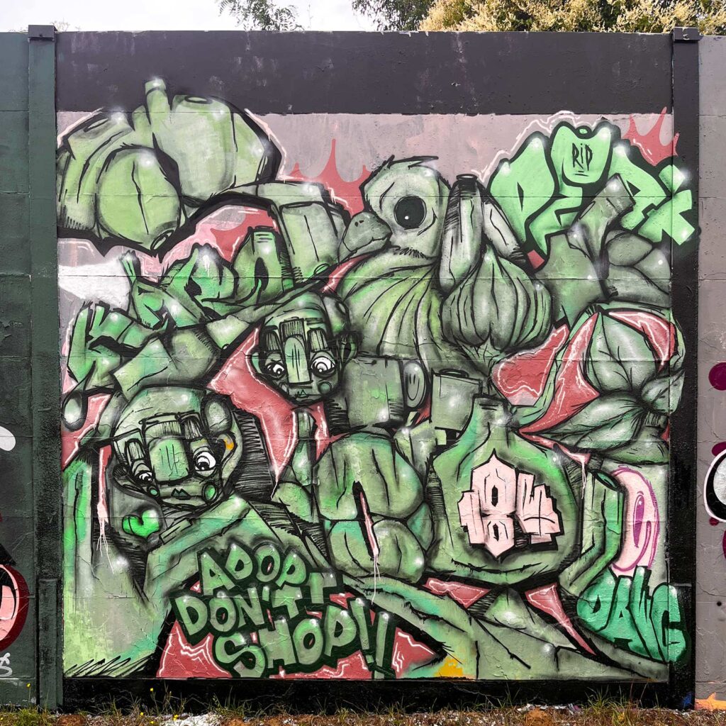 Bunt gestaltete Wände bei der Lincoln Wall Jam 2025 in Darmstadt