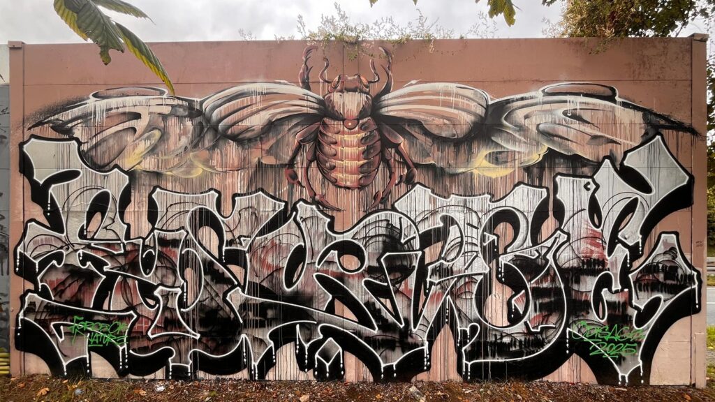 Bunt gestaltete Wände bei der Lincoln Wall Jam 2025 in Darmstadt