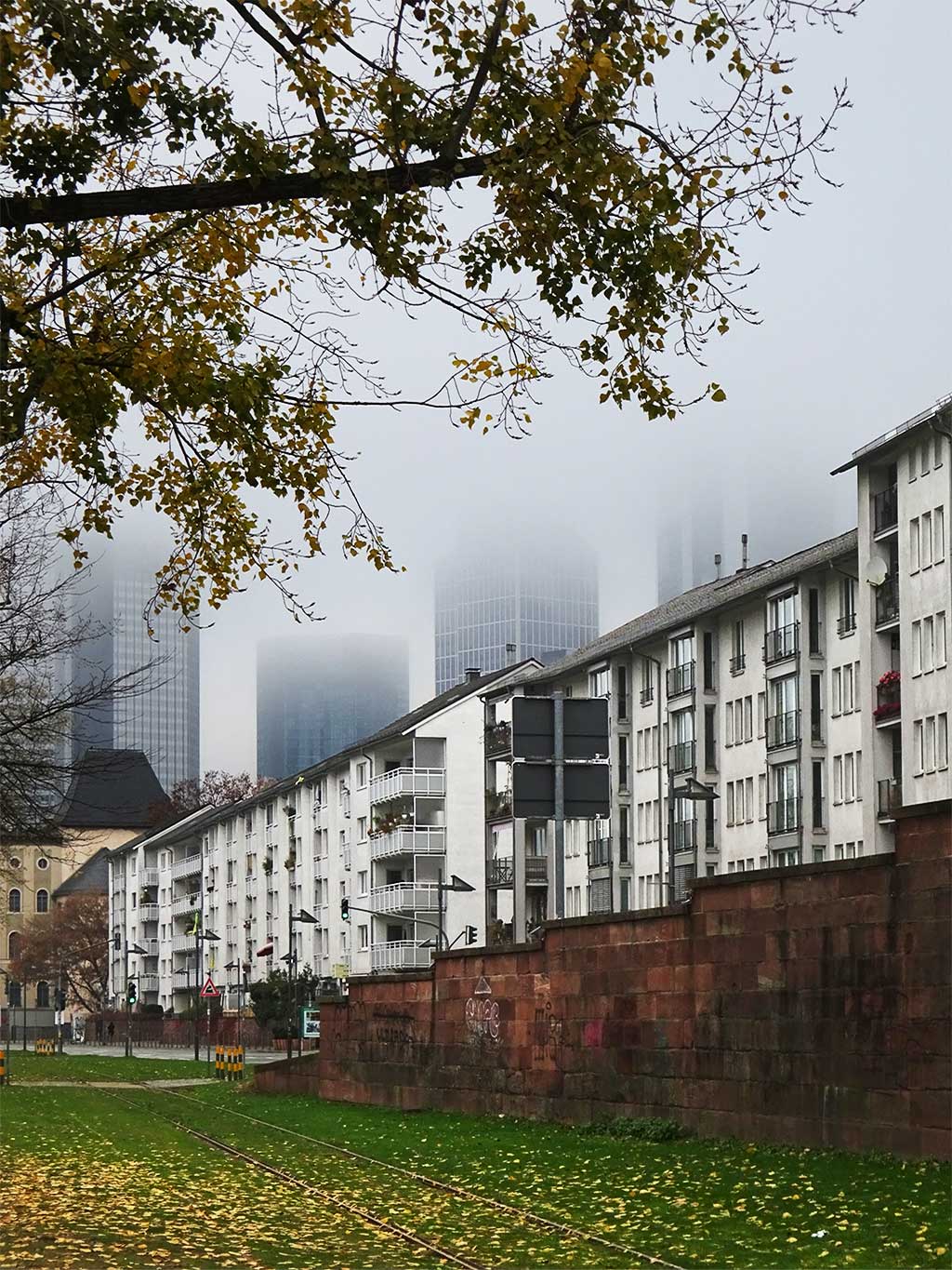 Mainufer entlang der Altstadt in Frankfurt