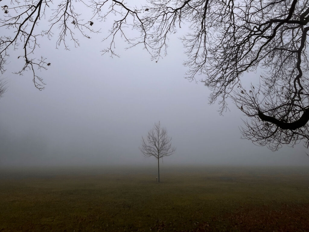 Frankfurt am Main – Nebel im Ostpark