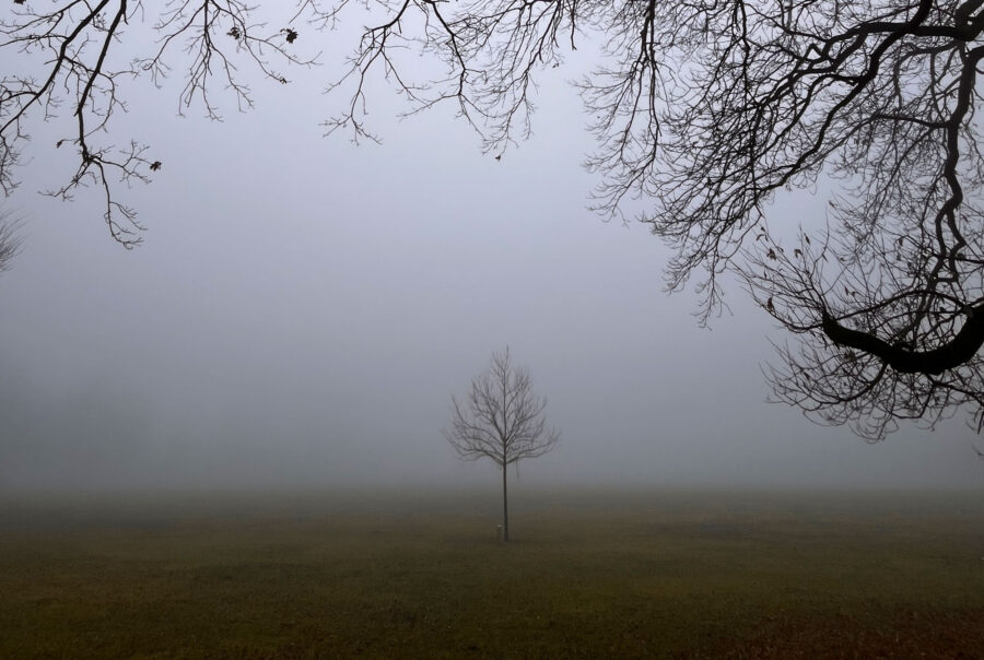 Frankfurt am Main – Nebel im Ostpark