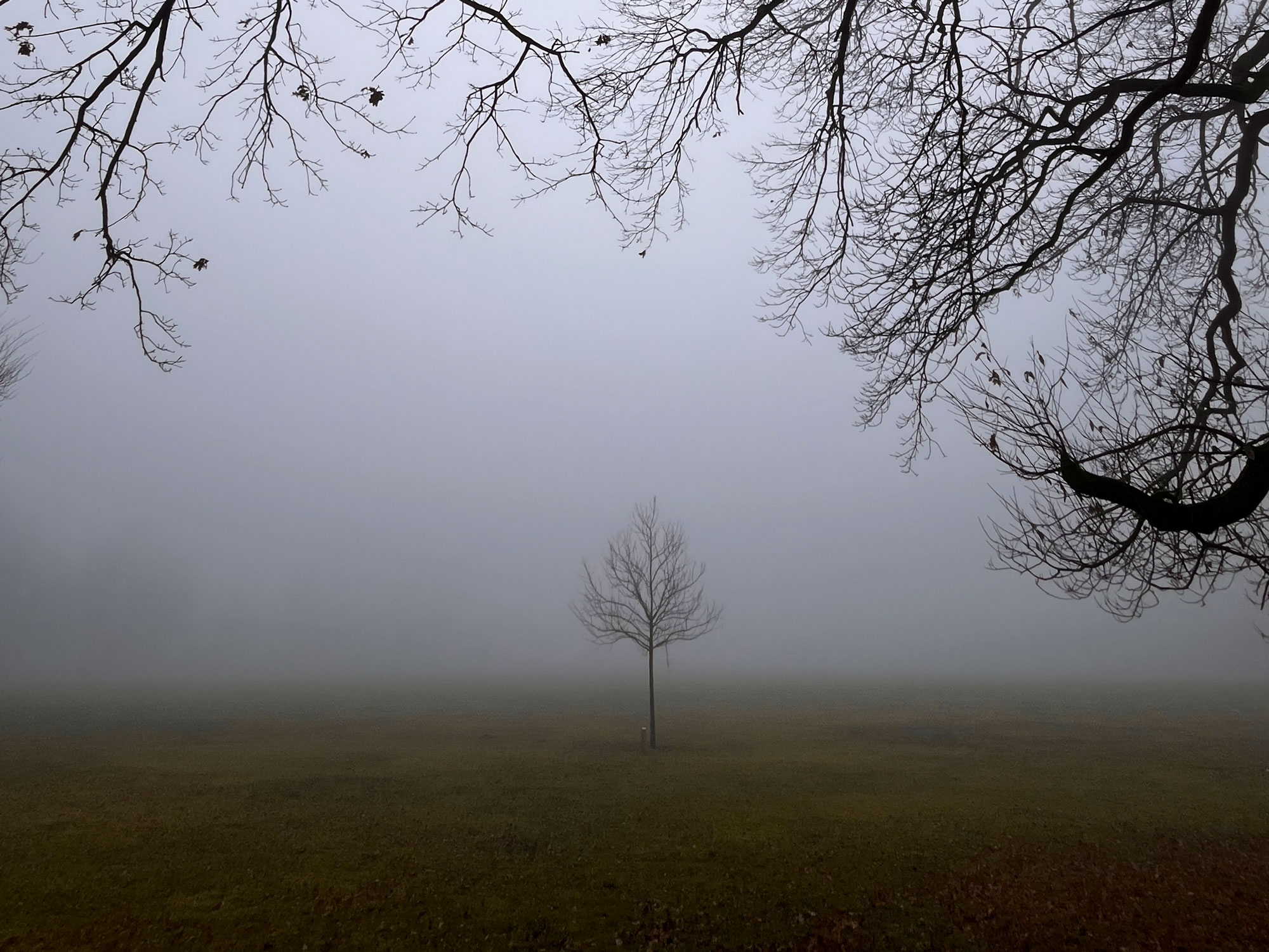 Frankfurt am Main – Nebel im Ostpark