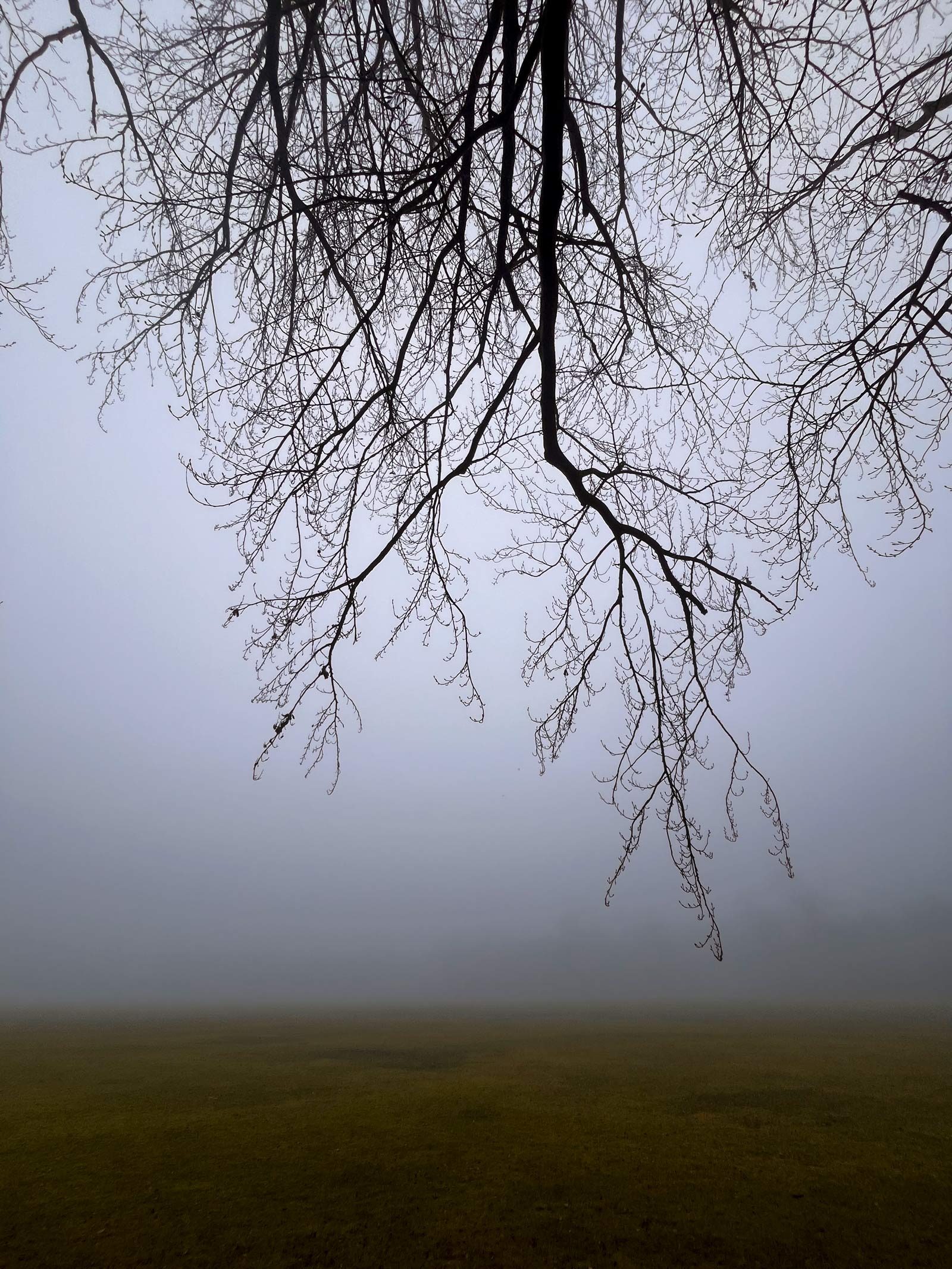 Frankfurt am Main – Nebel im Ostpark