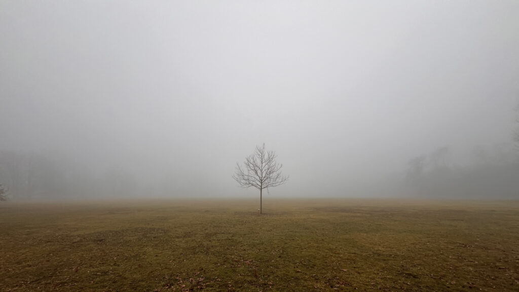 Frankfurt am Main – Nebel im Ostpark