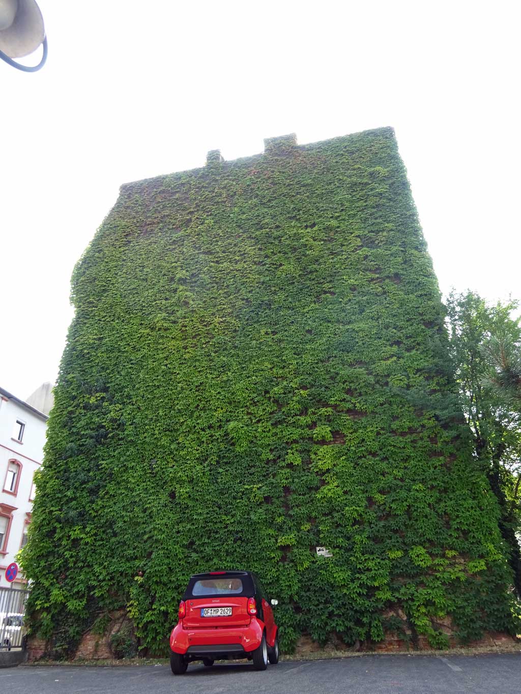 Grüne Hausfassade in Offenbach