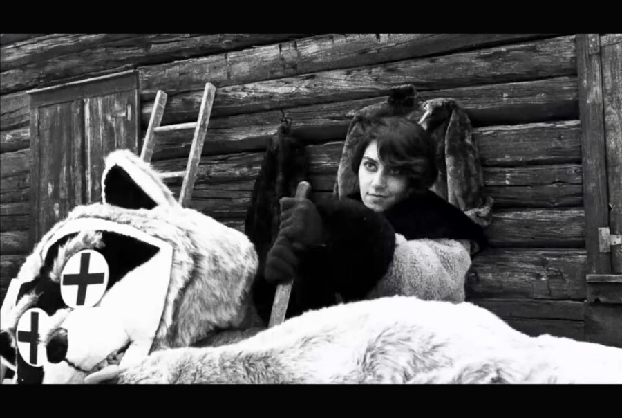 Olivia Graves in Hundreds of Beavers