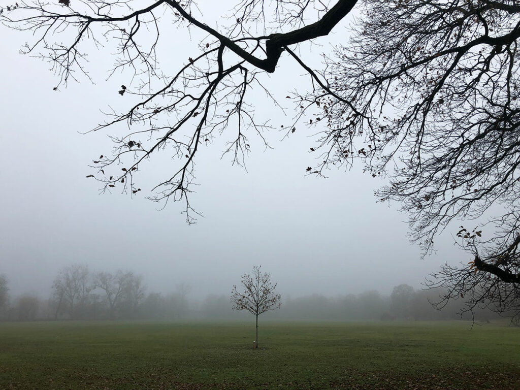Ostpark in Frankfurt am Morgen mit viel Nebel