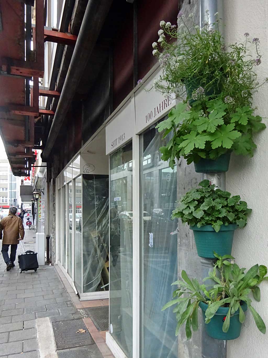 Pflanzentöpfe in den Straßen Offenbachs