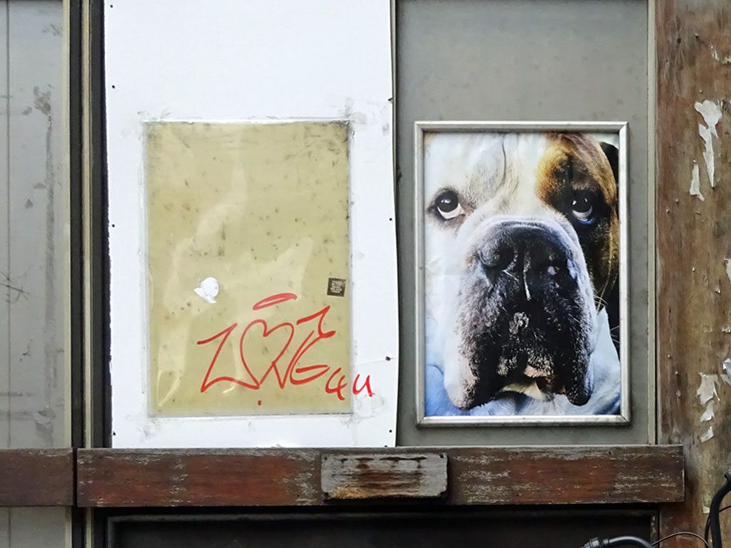 Poster-Art mit Hund in Frankfurt