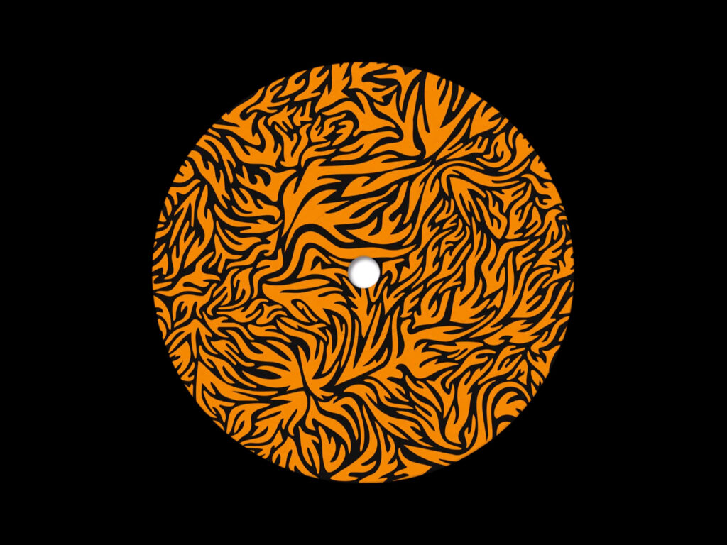 Roman Flügel - Cook The Books EP (Phonica Records)